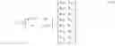 Fig. 06 - Quantized eigen beams for controlling antenna array elements in a wireless network