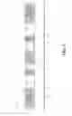Fig. 06 - Method and apparatus for transmitting secure VLC identifiers