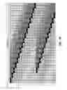 Fig. 09 - Transparent serial encryption