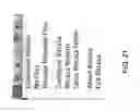Fig. 20 - Cloud file system