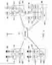 Fig. 06 - Recovering from virtual port channel peer failure