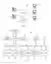 Fig. 02 - Autonomic traffic load balancing in link aggregation groups by modification of switch ingress traffic routing