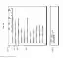 Fig. 06 - Secure data redaction and masking in intercepted data interactions