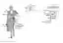 Fig. 01 - Methods, systems, and products for identity verification
