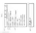 Fig. 06 - Secure data redaction and masking in intercepted data interactions