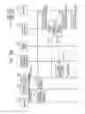 Fig. 20 - Apparatus, system, and method of controlling session, and recording medium