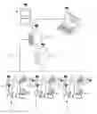 Fig. 01 - System for diagnosis of robot state