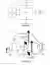 Fig. 02 - Managed peer-to-peer sharing in cellular networks