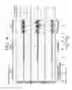 Fig. 08 - PHOTOGRAPHING APPARATUS AND METHOD FOR CONTROLLING THEREOF