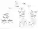 Fig. 01 - Secure combined interoperable multiplexing