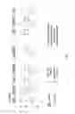 Fig. 10 - Secure combined interoperable multiplexing