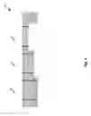Fig. 06 - Mechanically actuated panel acoustic system