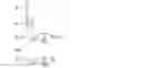 Fig. 10 - Load estimation and load management in a cellular communications network