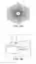 Fig. 17 - Hybrid coordination function (HCF) access through tired contention and overlapped wireless cell mitigation