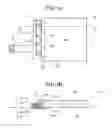 Fig. 02 - Planar illumination device