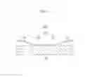 Fig. 07 - Stretchable conductive pattern and stretchable device