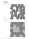 Fig. 03 - Wiring board and mounting structure using same