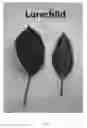 Fig. 09 - Apple tree named `Lurechild'