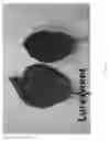 Fig. 09 - Apple tree named 'Luresweet'