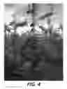 Fig. 05 - Pear Tree Named 'CH201'