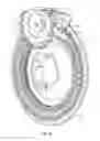 Fig. 12 - Air seed meter with internal drive