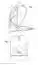 Fig. 02 - Portable system for dispensing fluids for animals
