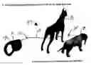 Fig. 01 - Pet Leash System