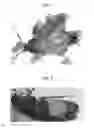 Fig. 02 - BAIT COMPOSITIONS AND METHODS FOR CONTROLLING A PEST BY PHYSICAL EFFECTS