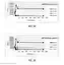 Fig. 10 - WATER PURIFICATION COMPOSITIONS AND APPLICATIONS FOR SAME