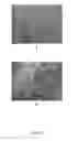 Fig. 06 - AQUEOUS STARCH-CONTAINING COMPOSITIONS FOR COATING FOOD PRODUCTS