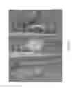 Fig. 18 - Infrared Based Peeling of Fruits and Vegetables