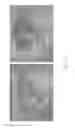 Fig. 20 - Infrared Based Peeling of Fruits and Vegetables