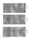 Fig. 21 - Infrared Based Peeling of Fruits and Vegetables