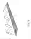 Fig. 29 - Infrared Based Peeling of Fruits and Vegetables