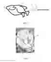 Fig. 03 - SALT BASED DRYING BRINING INSTRUMENT