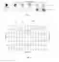 Fig. 03 - Smoking article having a particle containing wrapper