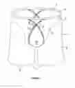 Fig. 02 - Undergarment for Men