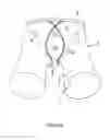 Fig. 03 - Undergarment for Men