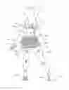 Fig. 01 - Butt enhancing hosiery/shaper under garment