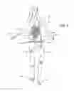 Fig. 02 - Butt enhancing hosiery/shaper under garment