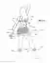 Fig. 09 - Butt enhancing hosiery/shaper under garment