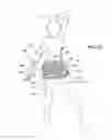 Fig. 10 - Butt enhancing hosiery/shaper under garment
