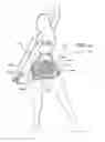 Fig. 12 - Butt enhancing hosiery/shaper under garment