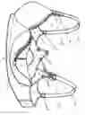 Fig. 01 - Next best nursing bra and nurser liner