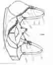 Fig. 05 - Next best nursing bra and nurser liner