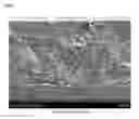 Fig. 03 - Glove and production process thereof