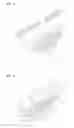 Fig. 04 - ATTACHING DEVICE FOR PARTIAL WIG