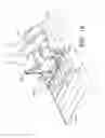 Fig. 14 - System for shoe sole portion painting