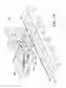 Fig. 22 - System for shoe sole portion painting