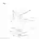Fig. 02 - Nail polish remover in a spray bottle with file attachment